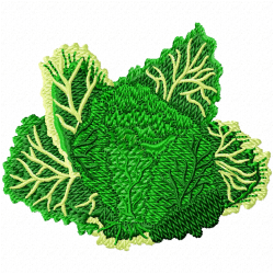 Lettuce Embroidery Design 3 Lettuce Embroidery Design 3